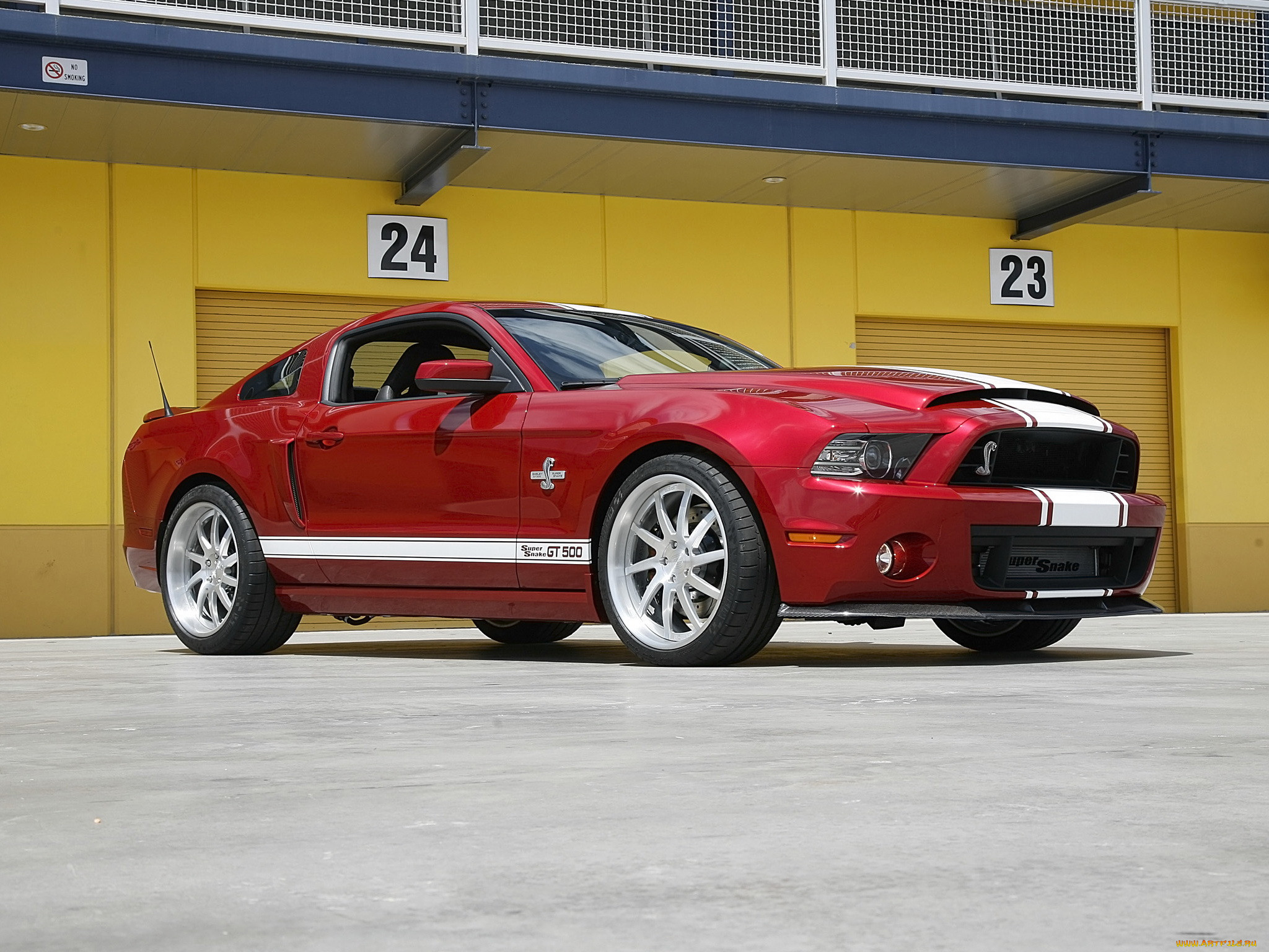 , mustang, shelby, snake, super, gt500, 